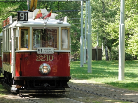 praha stromovka