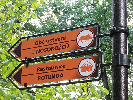 safari dvur kralove nad labem
