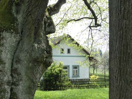 spalava