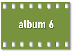 album 6