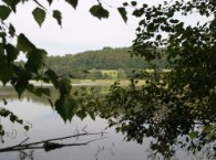 Stavenov