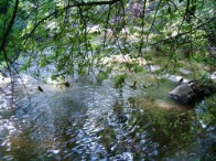 Pod skálou, 2005