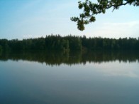 Stavenov