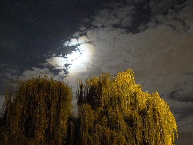 Jan��kovo n�b�e��