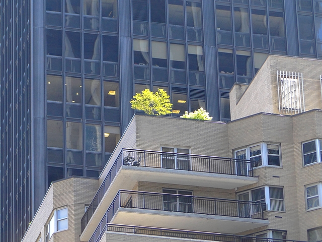 Manhattan
