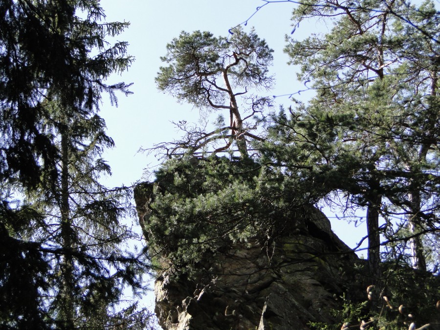 Doubrava - Sokolohrady